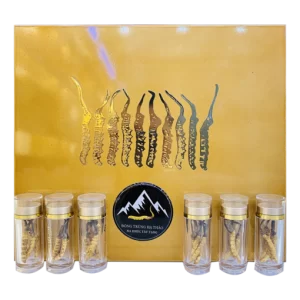 Đông Trùng Hạ Thảo Na Khúc Tây Tạng VIP - 10g (Size 40)