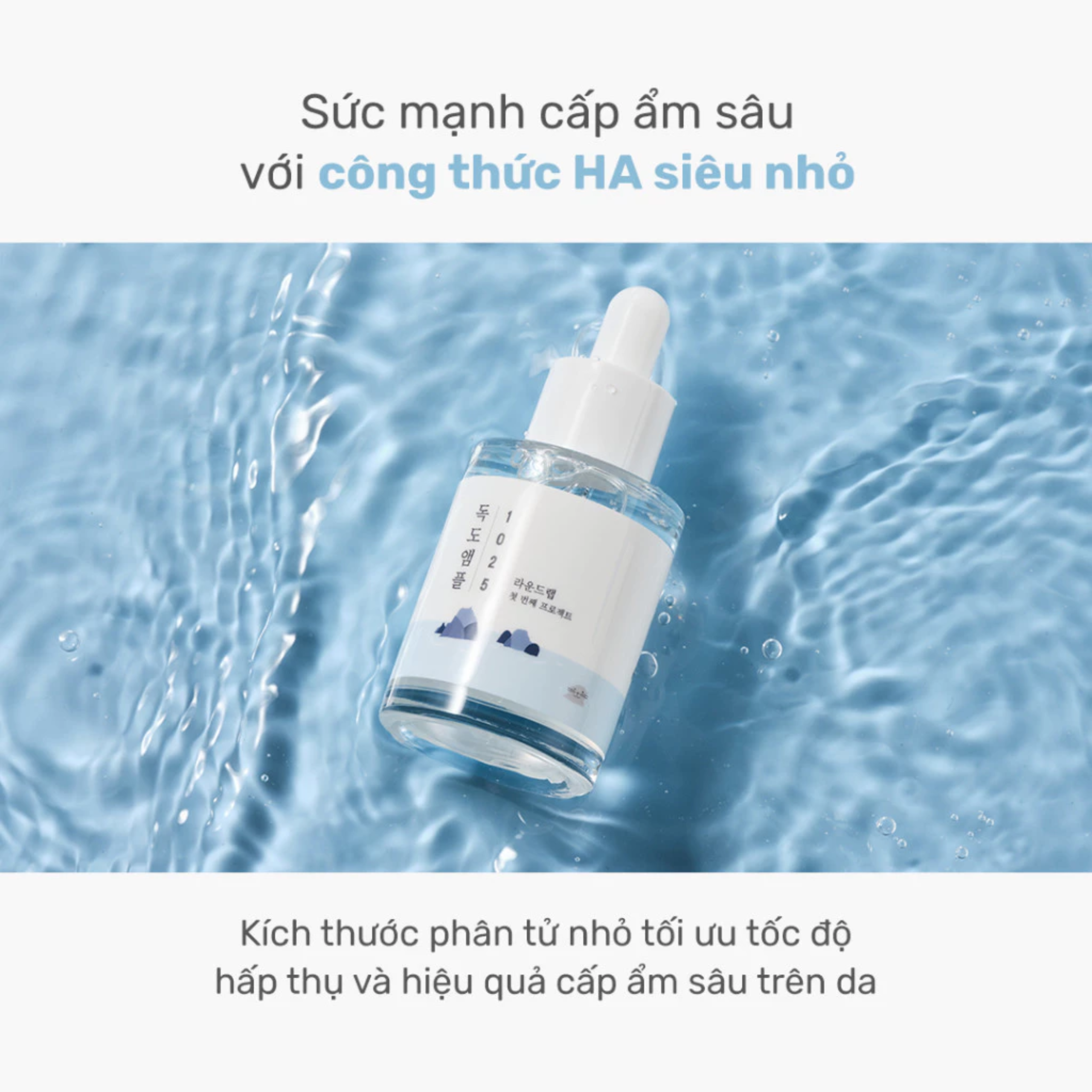 Tinh chất Round Lab 1025 Dokdo Ampule 45g - Ảnh 7