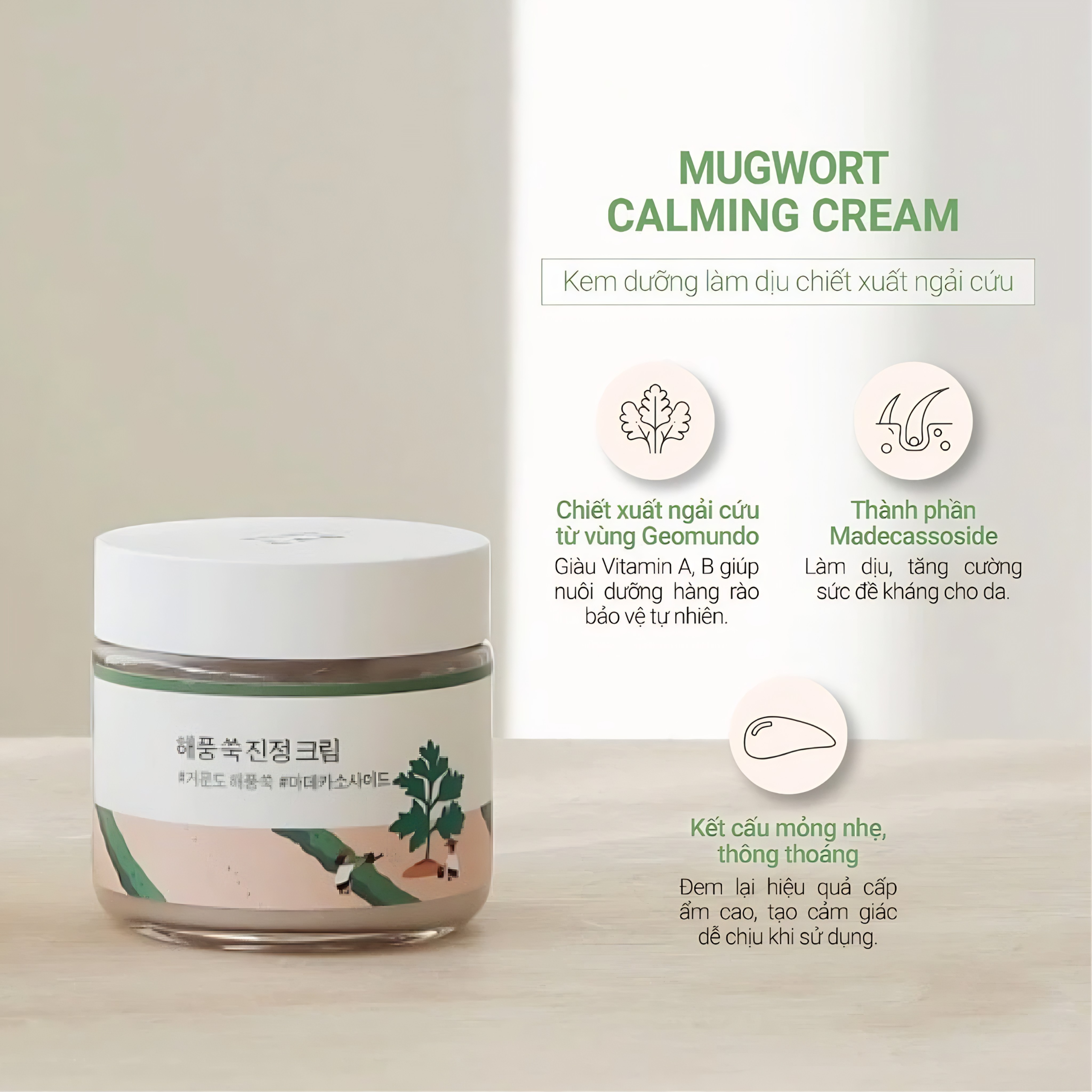 Kem dưỡng Round Lab Mugwort Calming 80ml - Ảnh 4