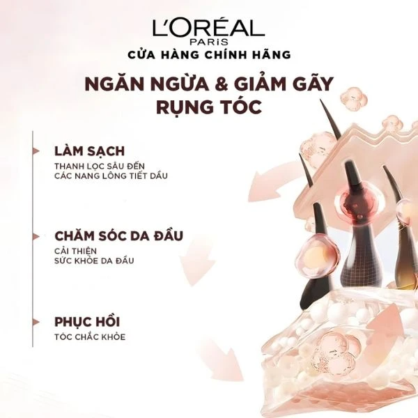 Dầu gội Loreal Full Resist Purifying Shampoo 440ml - Ảnh 4