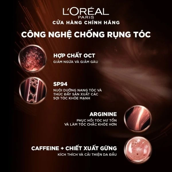 Dầu gội Loreal Full Resist Purifying Shampoo 440ml - Ảnh 2