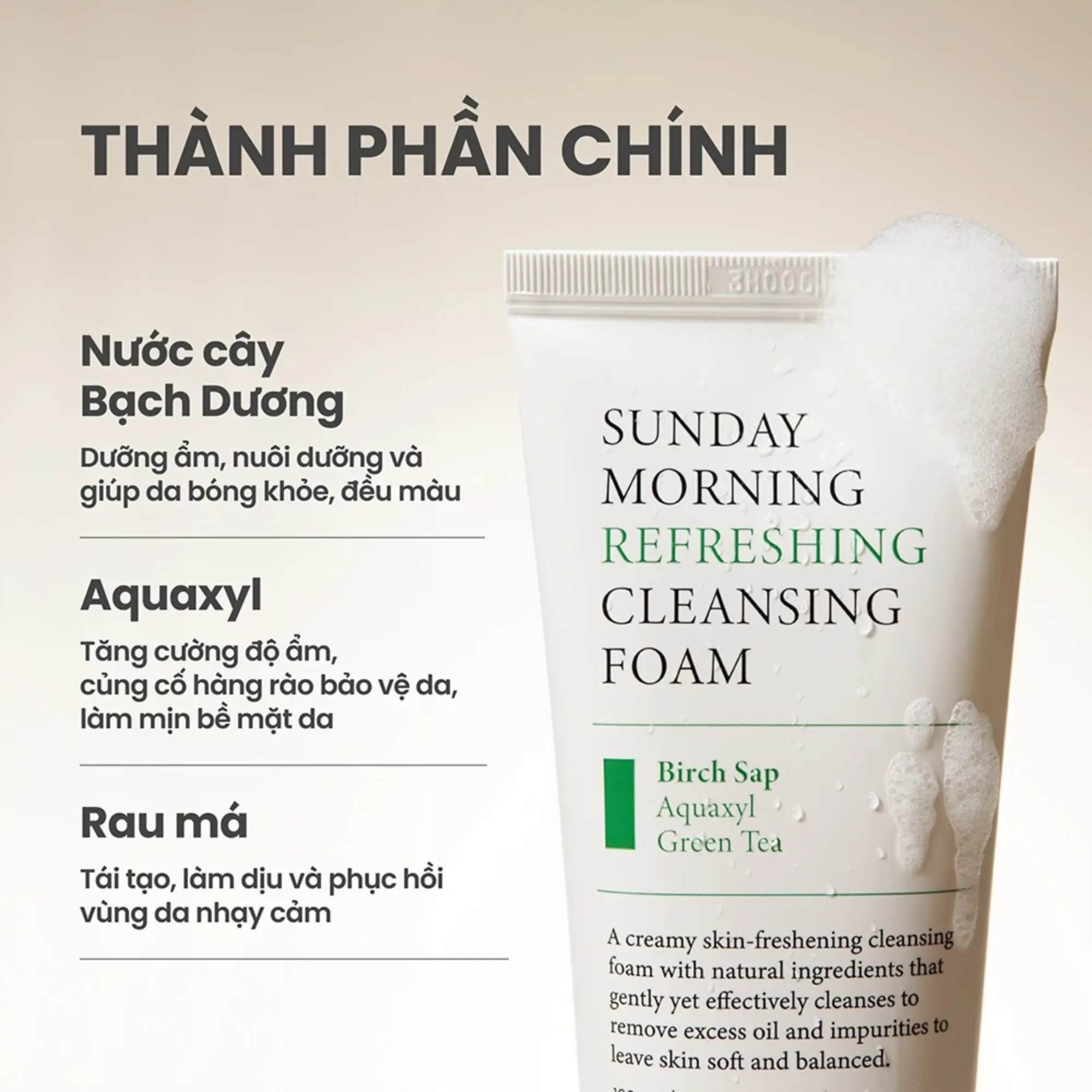 Sữa rửa mặt AXIS-Y Sunday Morning Refreshing Cleansing Foam 120ml - Ảnh 4